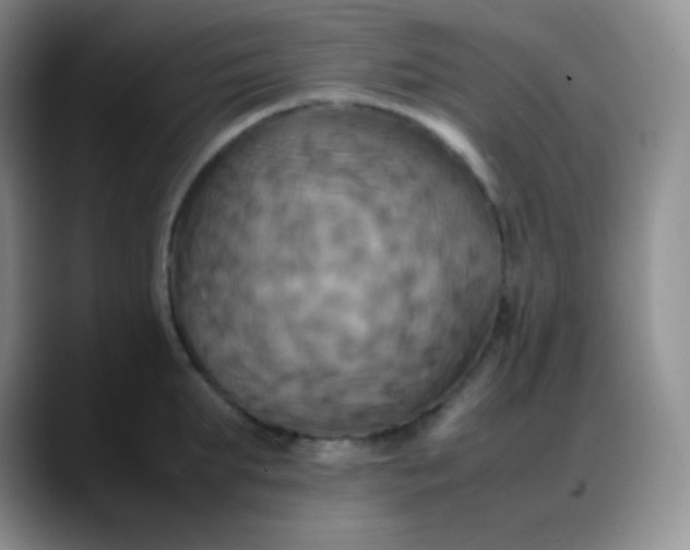 X0000088210903200705292050