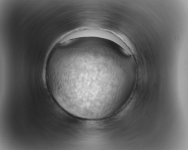 X0000088210904200705292050