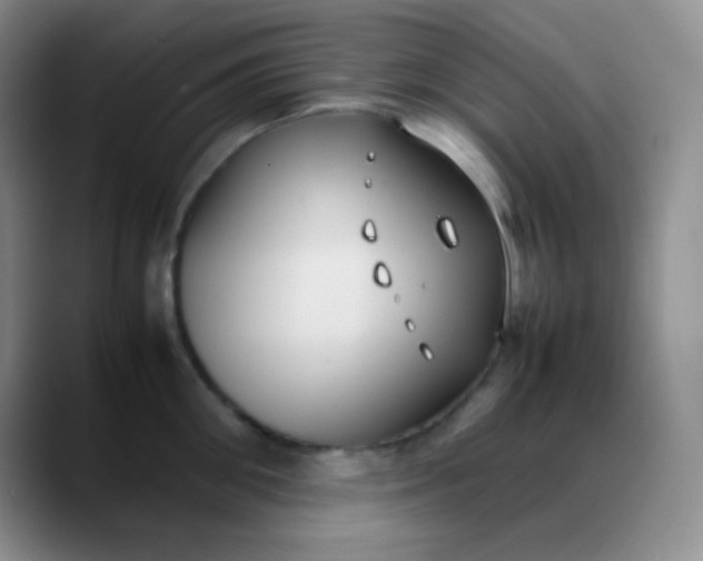X0000088210906200705292050