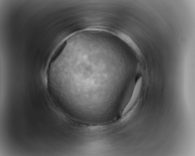 X0000088210908200705292050