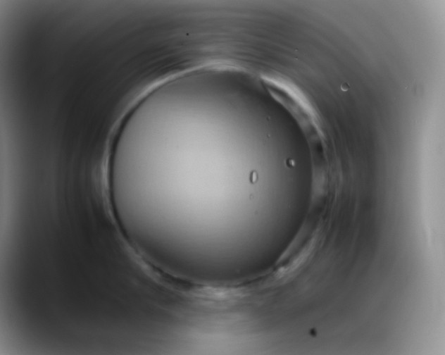 X0000088210910200705292050