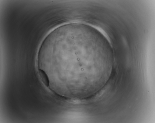 X0000088210911200705292050