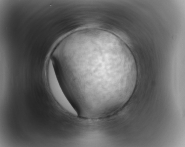 X0000088210912200705292050