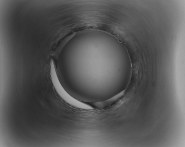X0000088210916200705292049