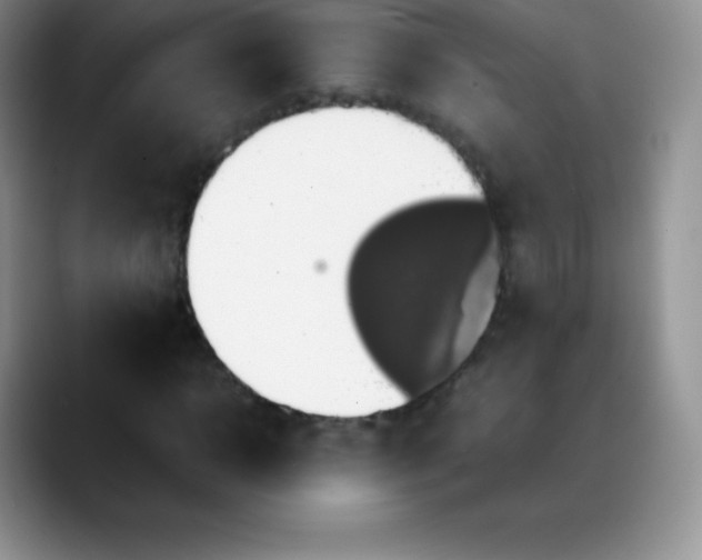 X0000088210918200705292049