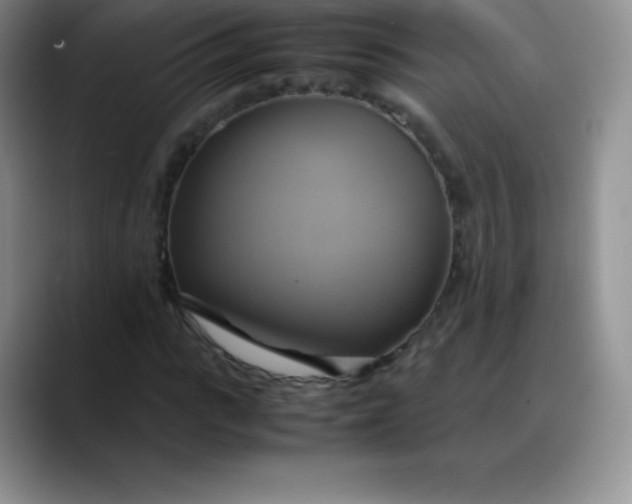X0000088210919200705292049