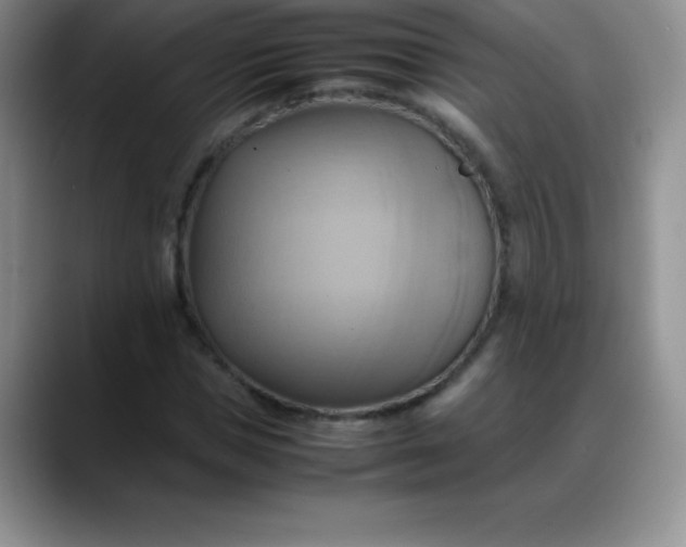 X0000088210921200705292049