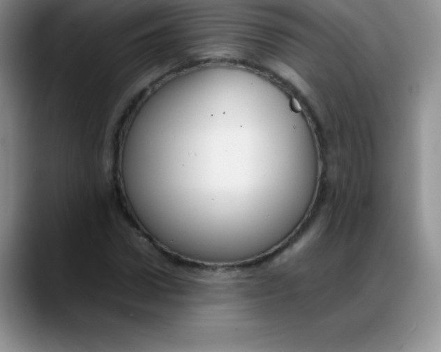 X0000088210922200705292049