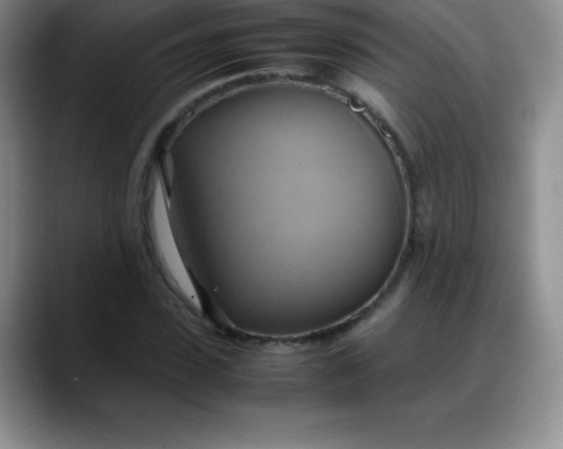 X0000088210923200705292049