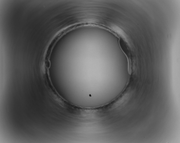X0000088210924200705292049