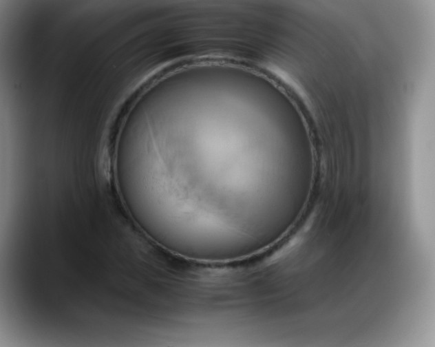 X0000088210925200705292049