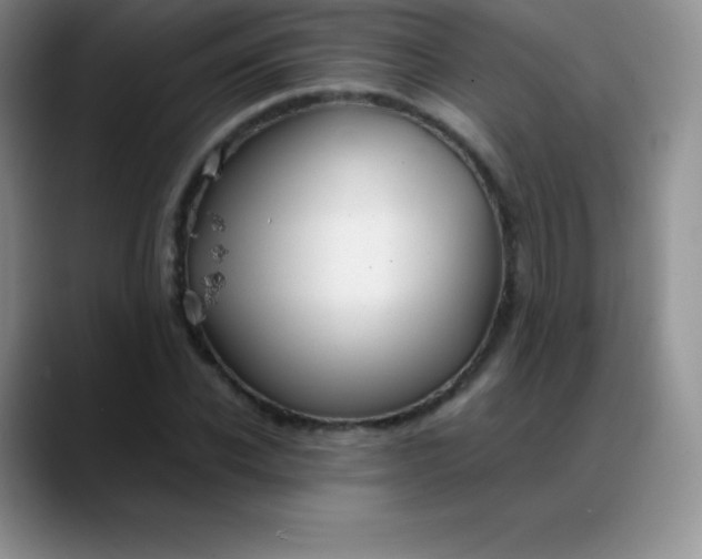 X0000088210926200705292049