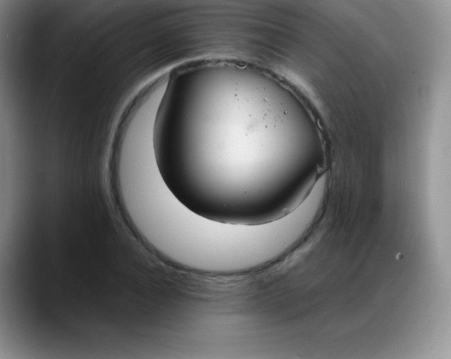 X0000088210928200705292049