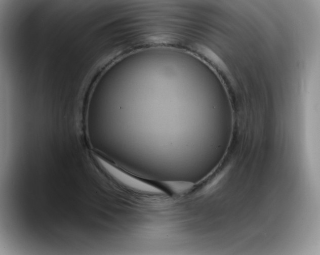 X0000088210930200705292049