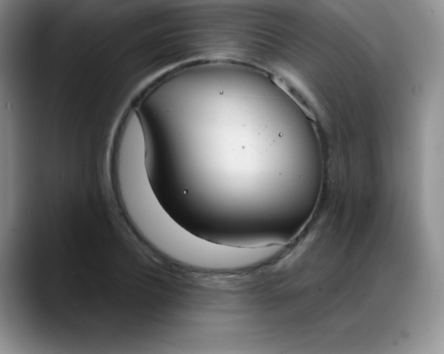X0000088210932200705292049