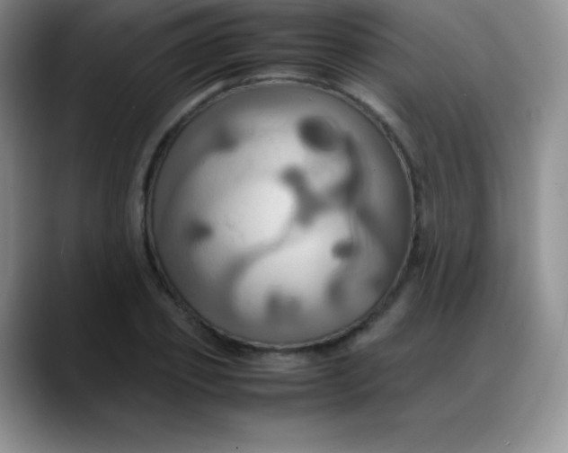X0000088210933200705292049