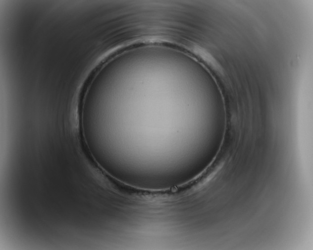 X0000088210934200705292049