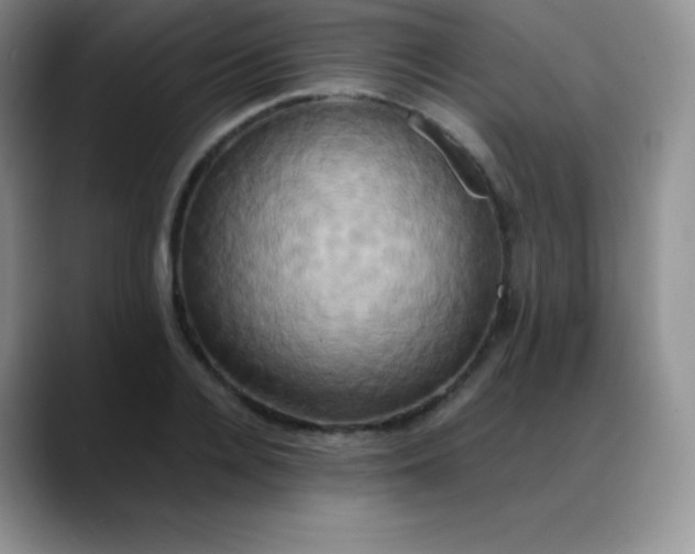X0000088210936200705292049