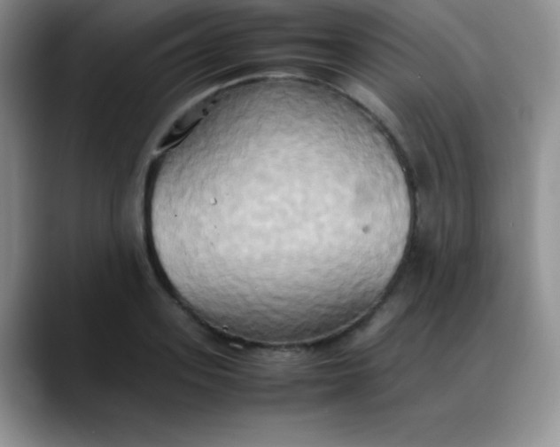 X0000088210939200705292050
