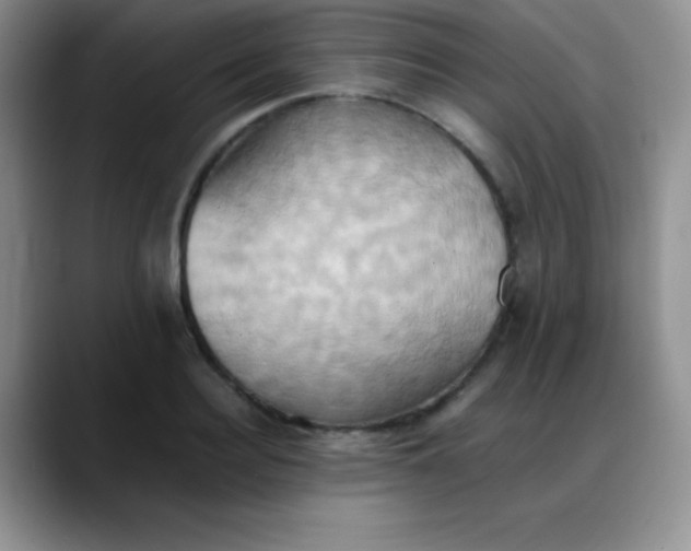 X0000088210940200705292050