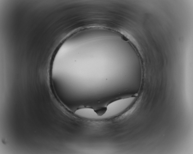 X0000088210941200705292050