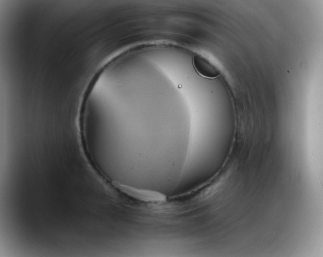 X0000088210943200705292050