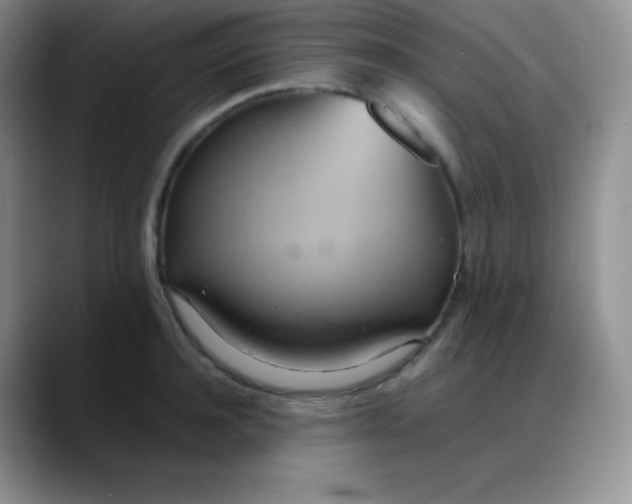 X0000088210944200705292050