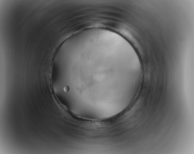 X0000088210945200705292050