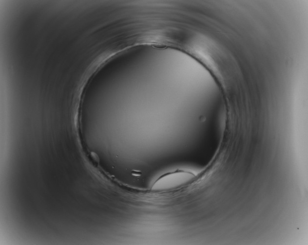 X0000088210946200705292050