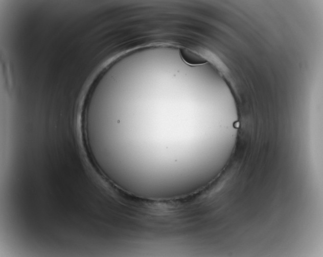 X0000088210947200705292050