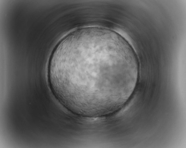 X0000088210949200705292050