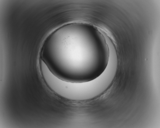 X0000088210952200705292050