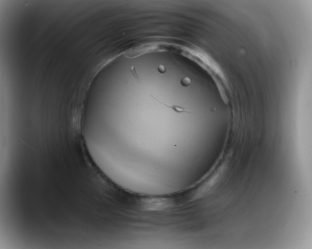X0000088210953200705292050