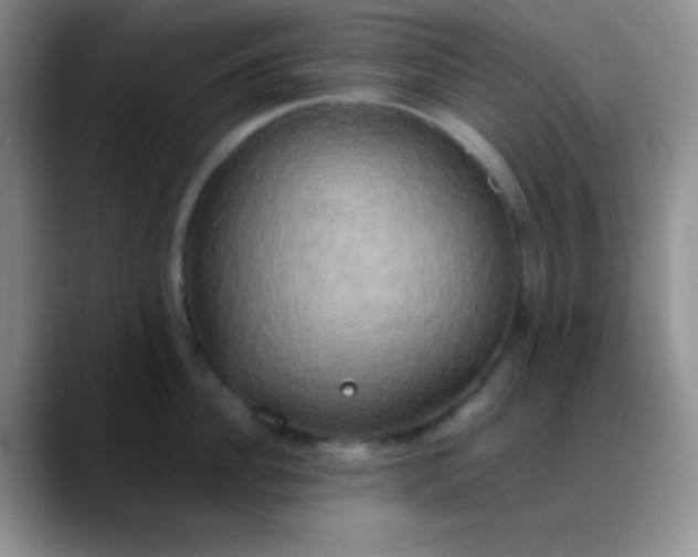 X0000088210956200705292050