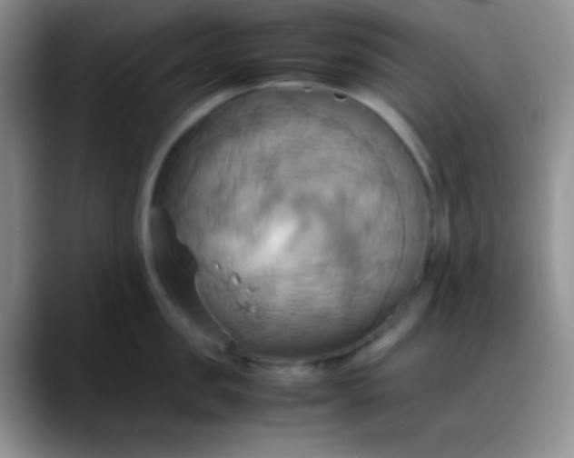 X0000088210957200705292050