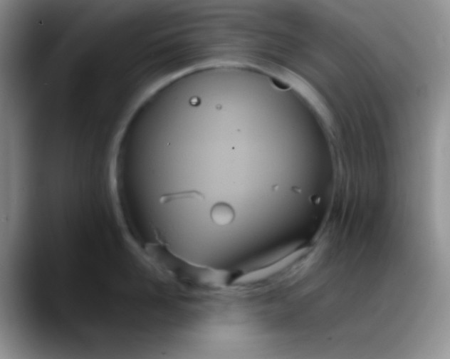X0000088210958200705292050