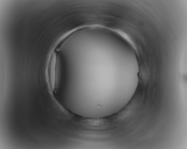 X0000088210959200705292050