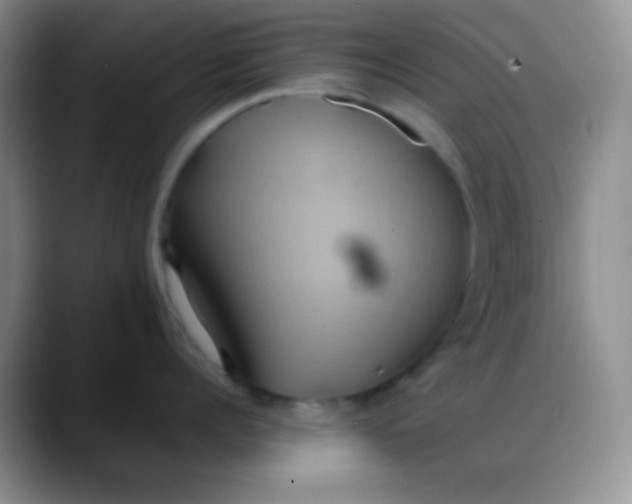 X0000088210960200705292050