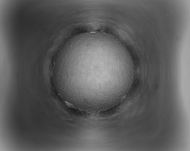 X0000088210961200705292049