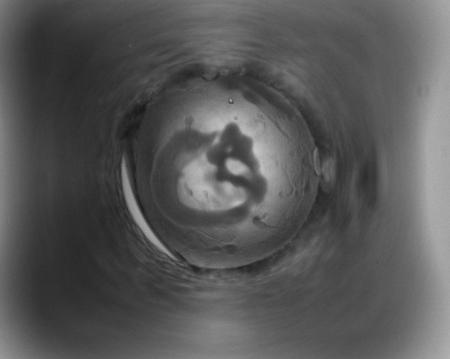 X0000088210963200705292049