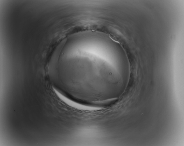 X0000088210965200705292049