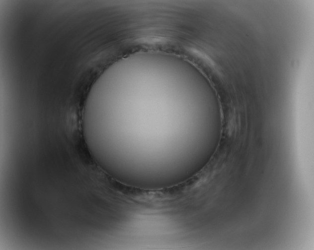 X0000088210966200705292049