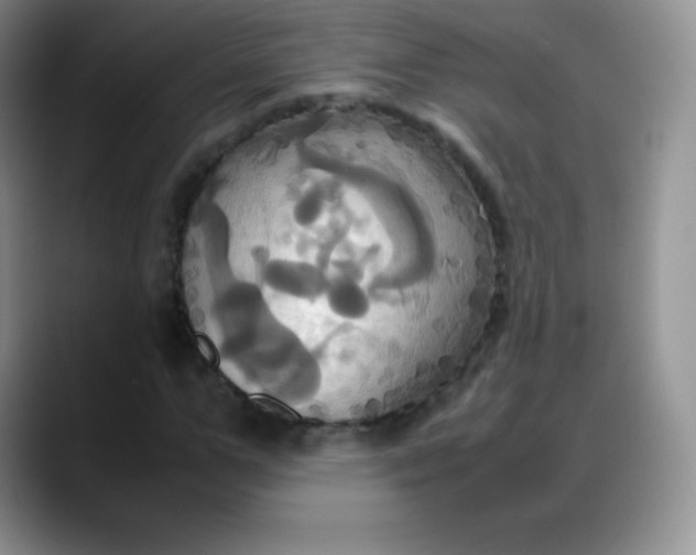 X0000088210967200705292049