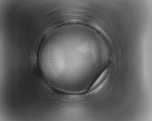 X0000088210969200705292049