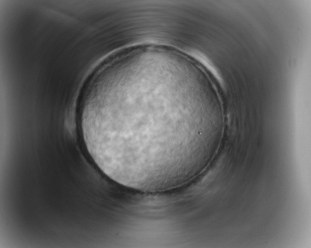 X0000088210972200705292049