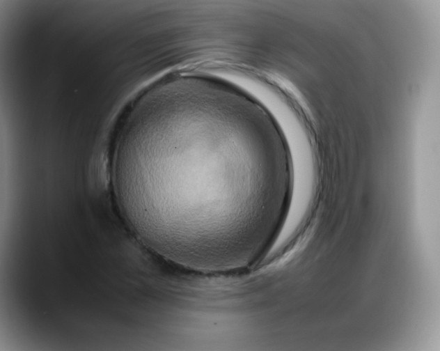 X0000088210973200705292049