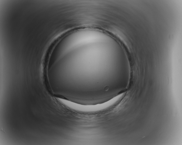 X0000088210975200705292049