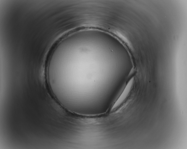 X0000088210976200705292049
