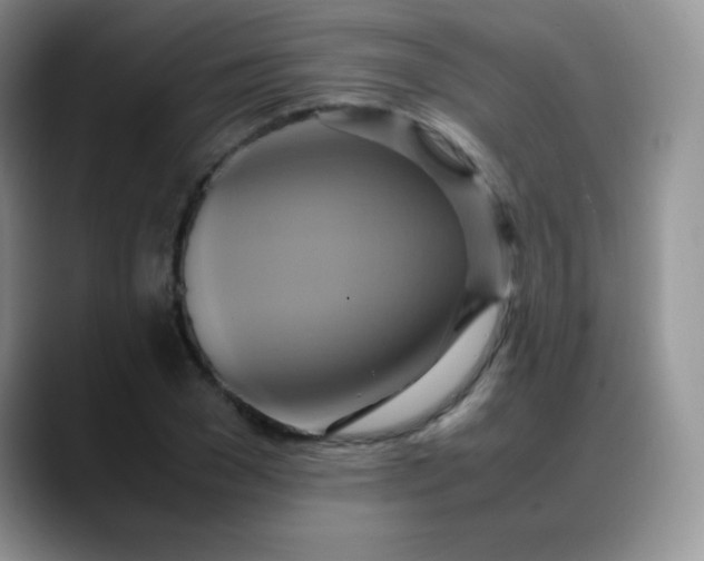 X0000088210977200705292049