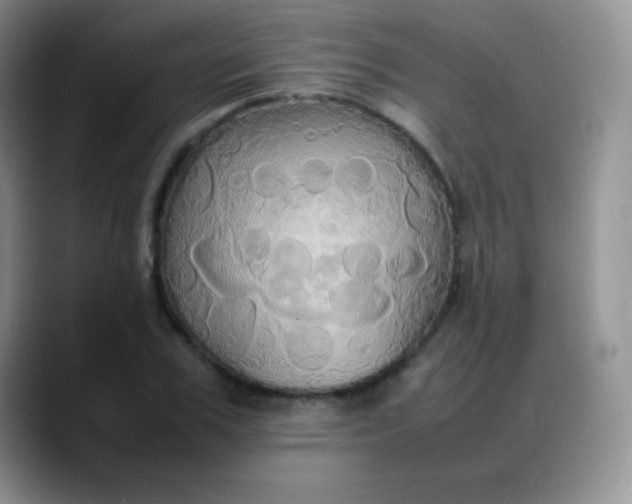X0000088210979200705292049